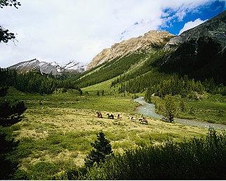 《我的好友小猪佩奇》推出次世代主机版  支持4K 原版可免费升级