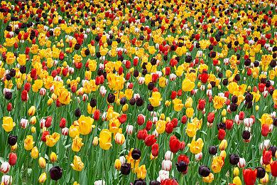 《幻想三国志》系列作上架STEAM 五代将免费更新DLC